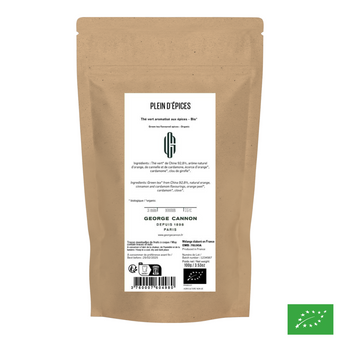 PLEIN D'ÉPICES - Thé vert aux épices aromatisé à l'orange - Bio