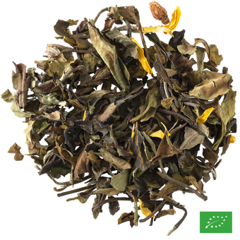 ÉTOILE DU BERGER - Thé blanc aux épices aromatisé vanille, agrumes - Bio