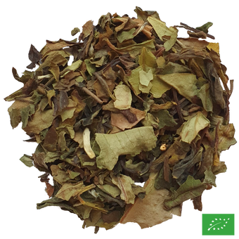 LES MARCHÉS DE PROVENCE - Thé blanc aromatisé melon, abricot - Bio