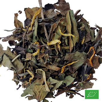 MOANA - Thé blanc glacé aromatisé aux fruits exotiques, fève tonka - Bio