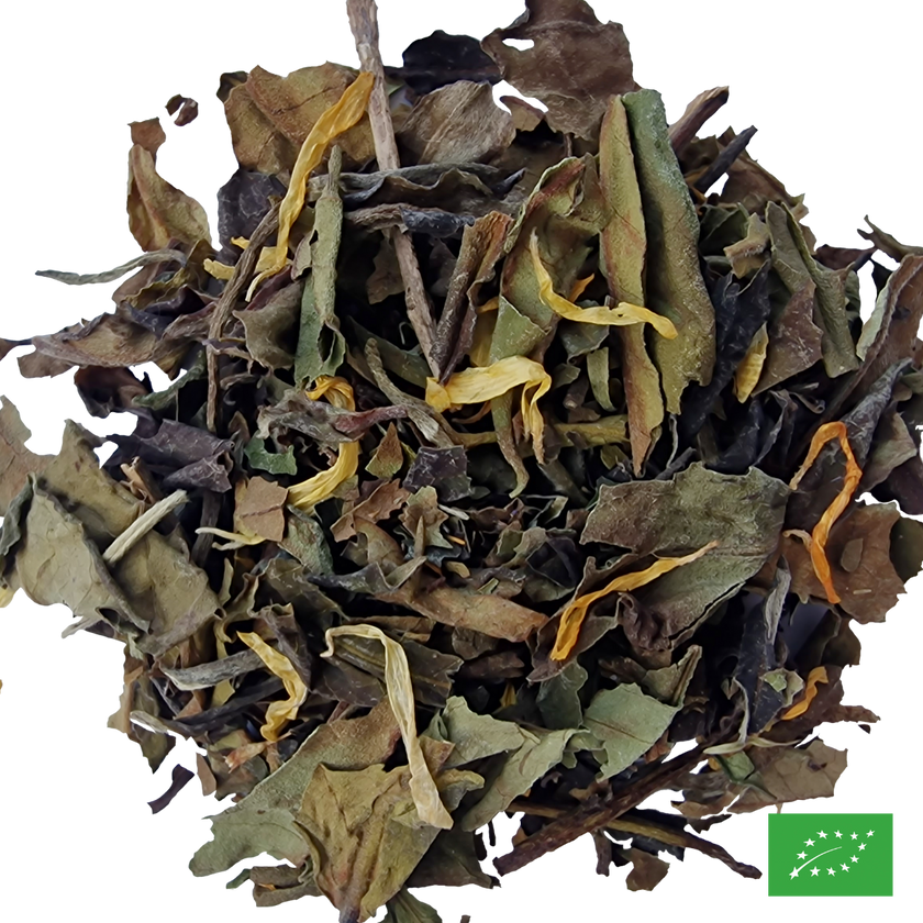 MOANA - Thé blanc glacé aromatisé aux fruits exotiques, fève tonka - Bio