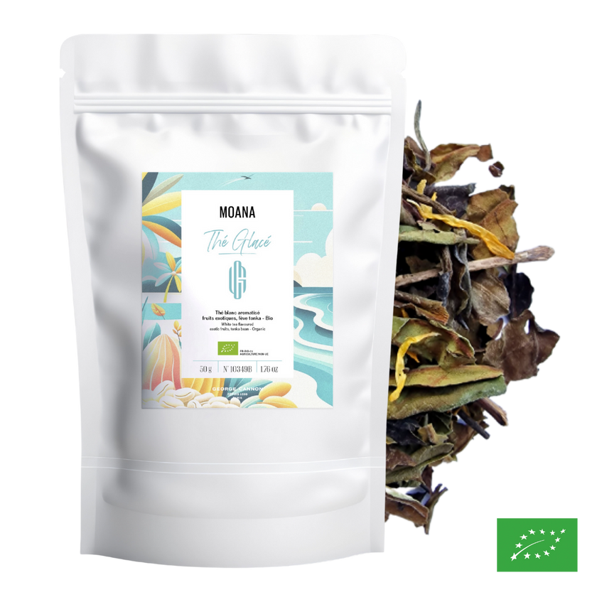 SET 3 THÉS ET INFUSIONS GLACÉS & CARAFE