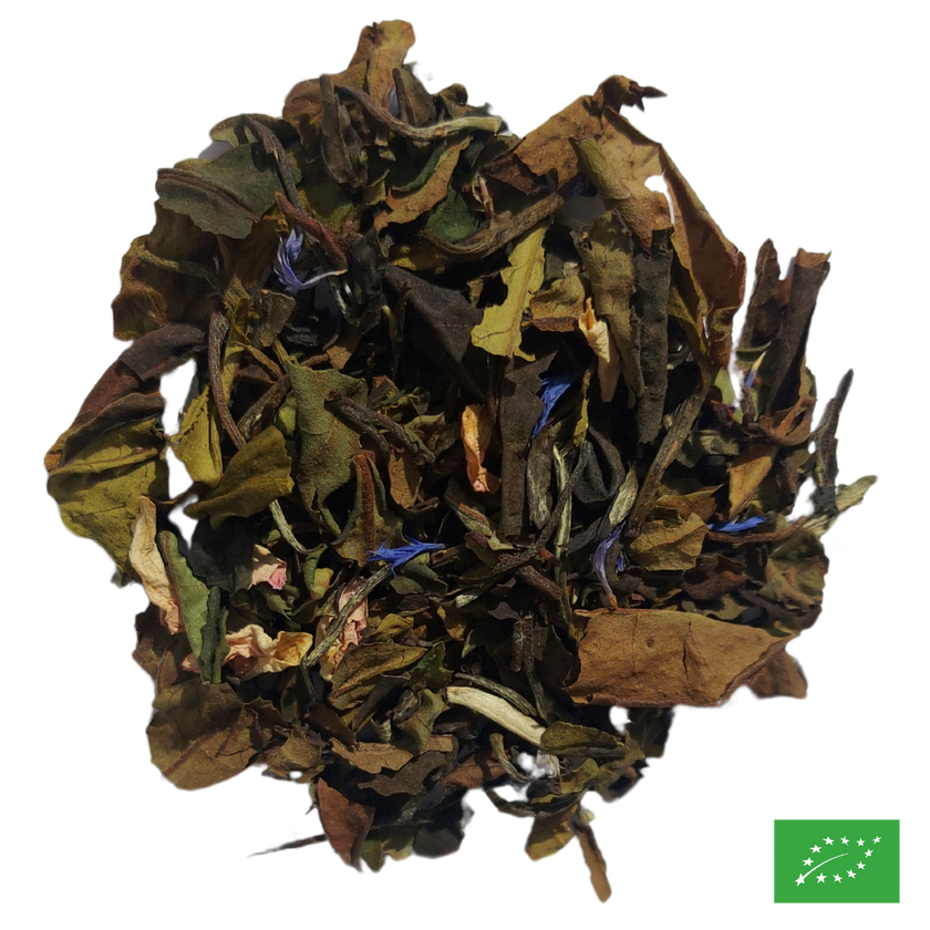 MA CHANSON DOUCE - Thé blanc aromatisé fruits rouges - Bio