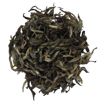 Thé blanc du Népal HIMALAYAN SHANGRI-LA POINTES D'ARGENT