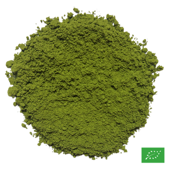 MATCHA DE CÉRÉMONIE - Thé vert du Japon - Bio