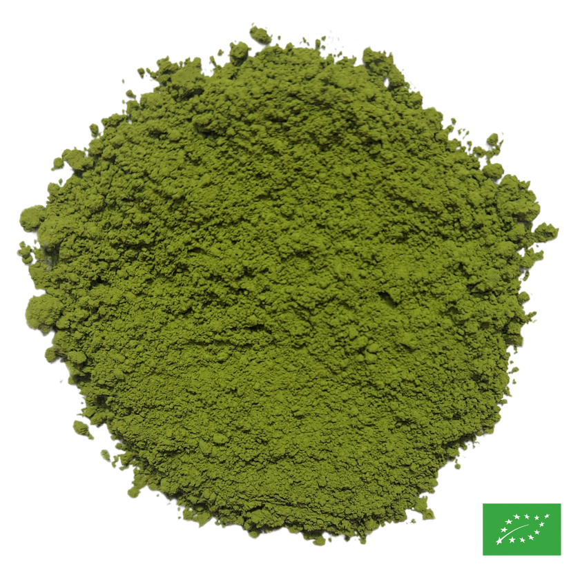 MATCHA DE CÉRÉMONIE - Thé vert du Japon - Bio