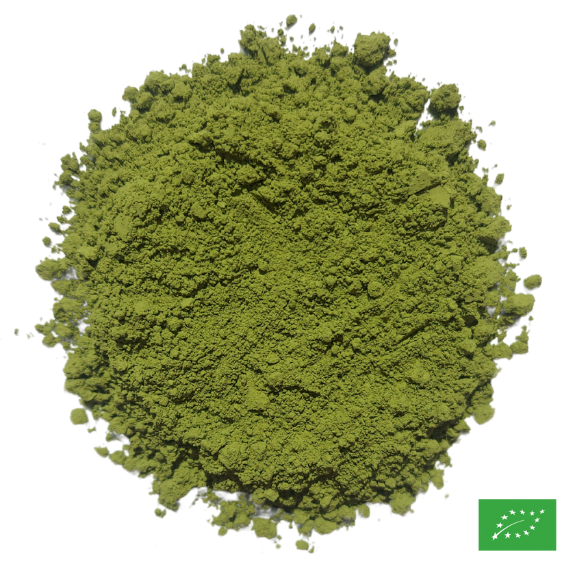MATCHA - Thé vert du Japon - Bio