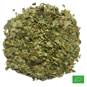 MATÉ VERT - Maté - Bio