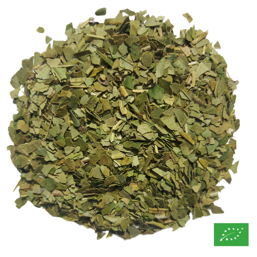 MATÉ VERT - Maté - Bio