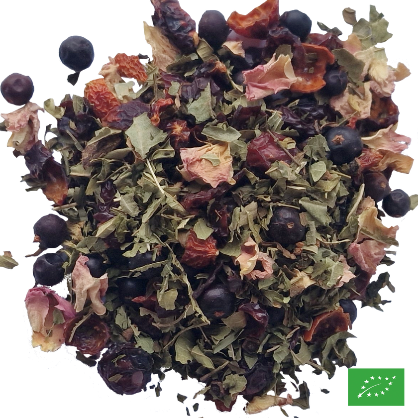 ÉTOILE DE L'ATLAS - Infusion d'églantier et verveine aux épices aromatisées agrumes - Bio