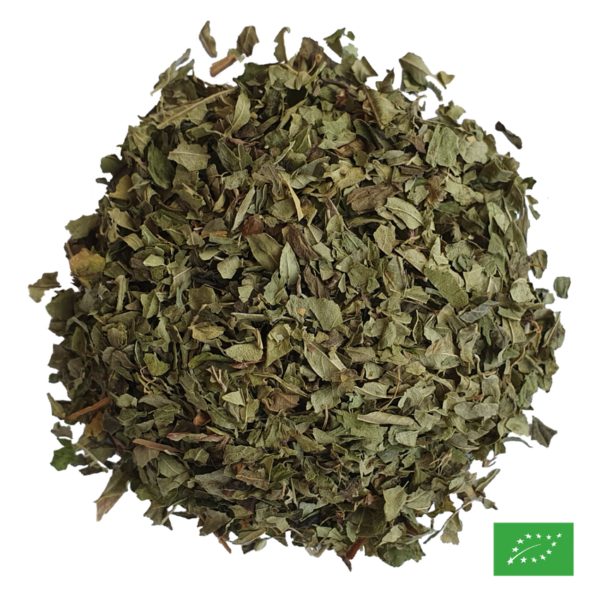 VERVEINE-MENTHE - Infusion - Bio