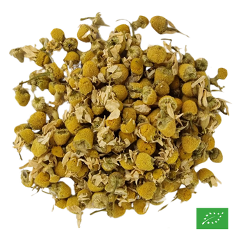 CAMOMILLE - Infusion - Bio