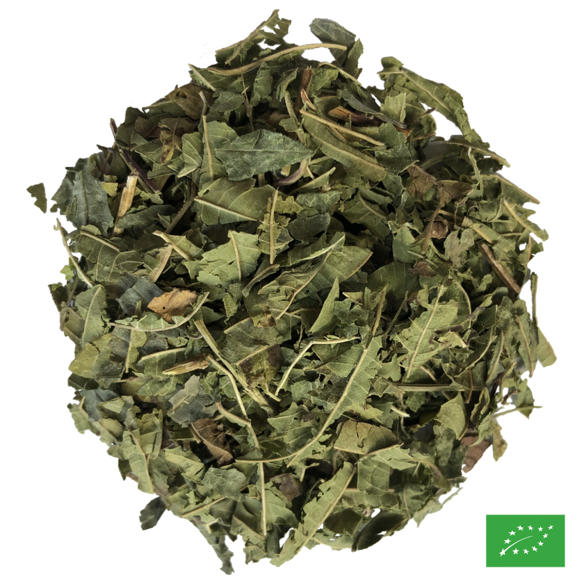 VERVEINE - Infusion - Bio