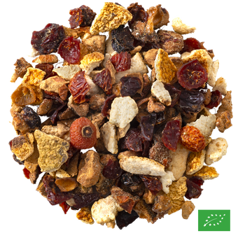 CARNAVAL - Infusion de pomme aromatisée fruits exotiques - Bio