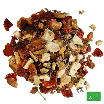 LES FRUITS DU PARADIS - Infusion de pomme aromatisée fruits du verger - Bio