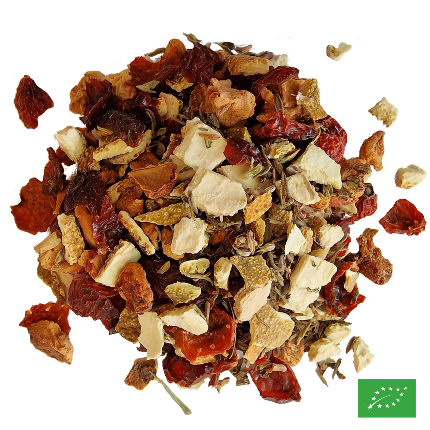 LES FRUITS DU PARADIS - Infusion de pomme aromatisée fruits du verger - Bio