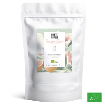 UN ÉTÉ À GALLE - Infusion glacée de pomme et d'hibiscus aromatisé pamplemousse - Bio