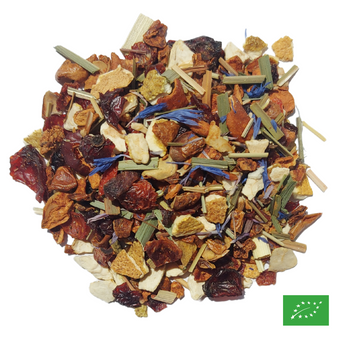 L'ÉLIXIR DU DRAGON - Infusion glacée de citron et pomme aromatisée citrons - Bio