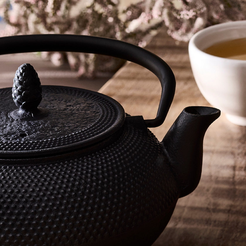 THÉIÈRE JAPONAISE EN FONTE NOIRE 0,60L