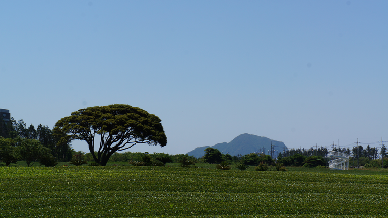 Autres pays du monde