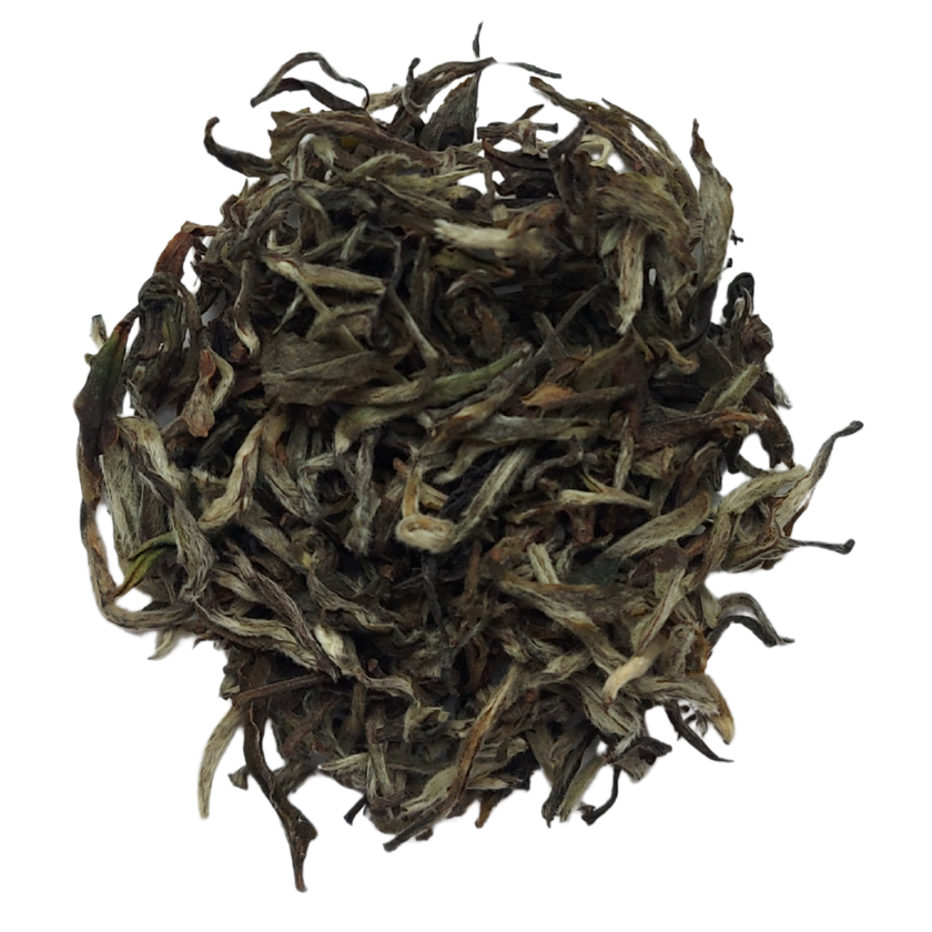 Thé blanc du Népal HIMALAYAN SHANGRI-LA POINTES D'ARGENT