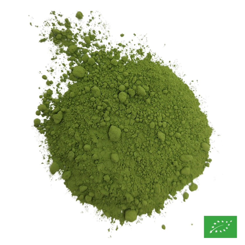 UJI MATCHA L - Thé vert du Japon - Bio