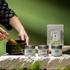 MATCHA CHASHITSU - Thé vert d'ombre du Japon - Bio