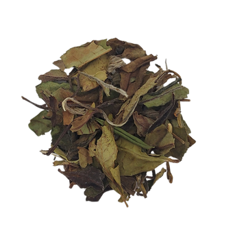 BAI MU DAN - Thé blanc de Chine Primeur 2026