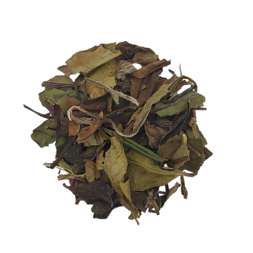 BAI MU DAN - Thé blanc de Chine Primeur 2026