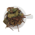 BAI MU DAN - Thé blanc de Chine Primeur 2026