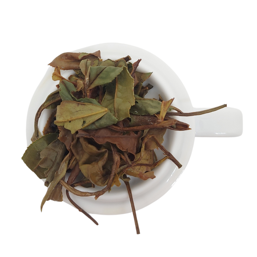 BAI MU DAN - Thé blanc de Chine Primeur 2026