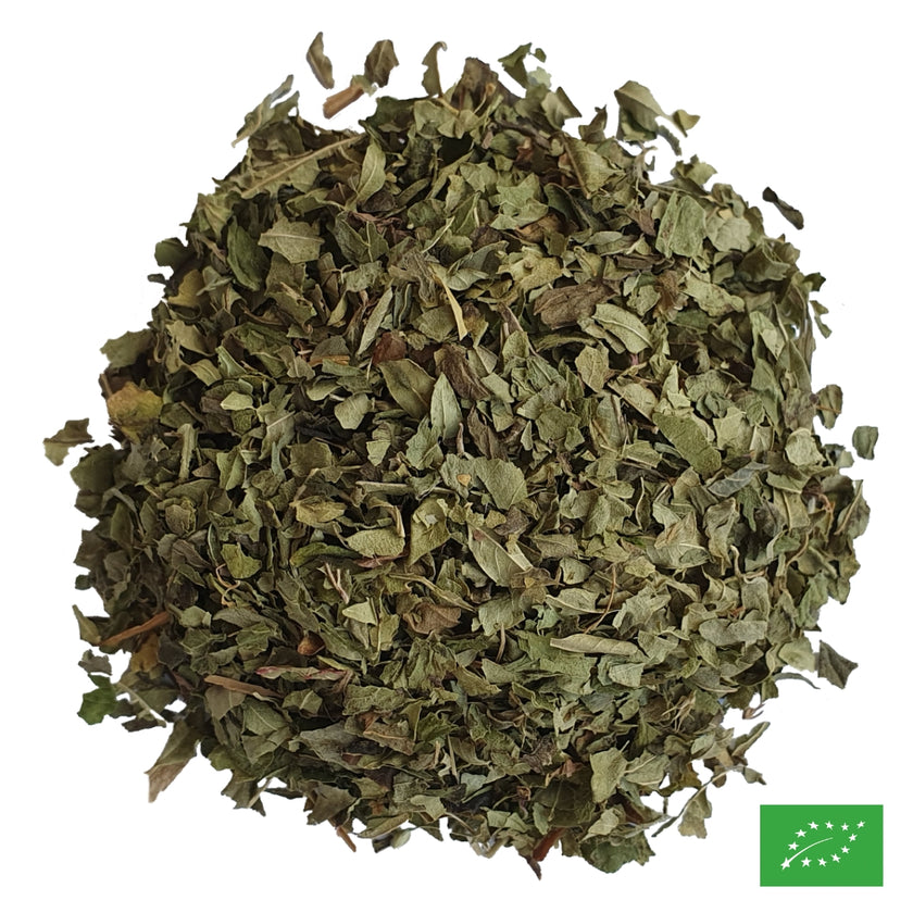 COFFRET L'INSTANT INFUSION - Bio