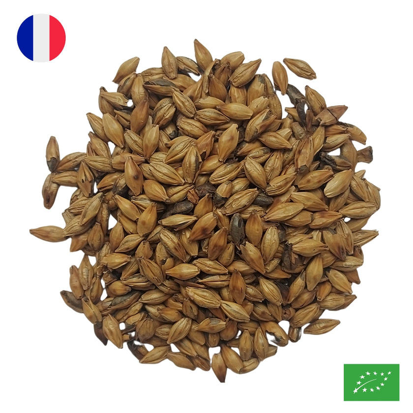 MUGICHA FRANÇAIS - Infusion d'orge torréfié - Bio