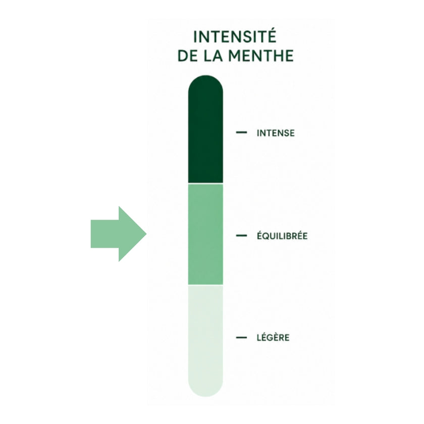 FRAÎCHEUR SCANDINAVE - Thé vert au thym citron aromatisé à la fraise - Bio