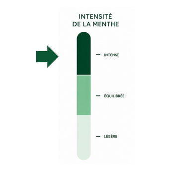 VERVEINE-MENTHE - Infusion - Bio